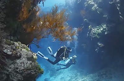 diving pulau menjangan bali