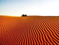 gurun pasir