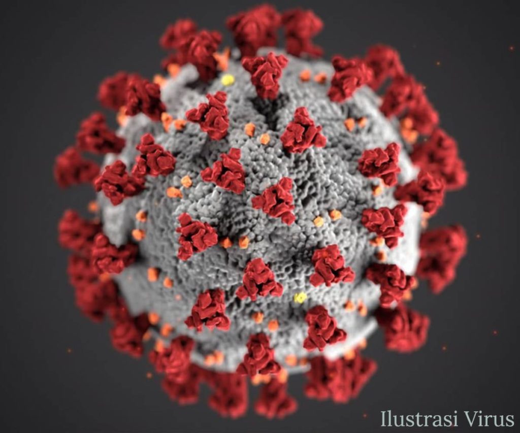 ilustrasi virus